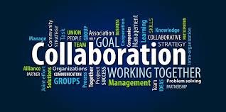 COLLABORATIVE MANAGEMENT