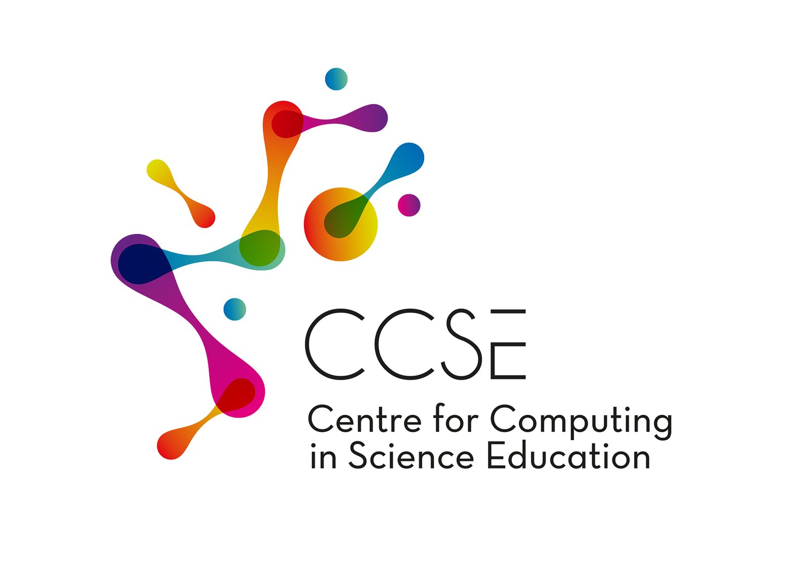 CCSE Undergraduate Scholarship